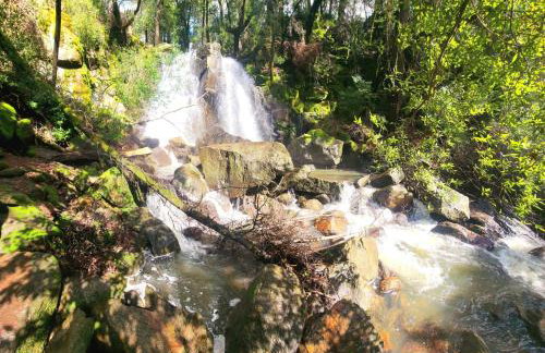 Luxury Napa Vineyard Estate 15 min from St. Helena - Foto 44