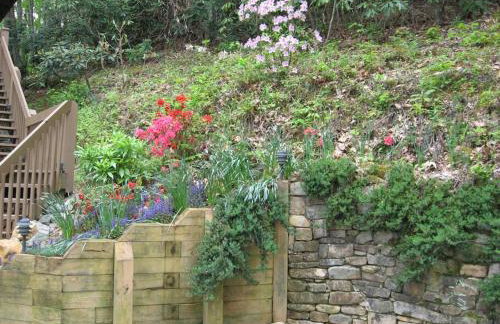 Top of the Line Asheville Mountain Cabin - Foto 59