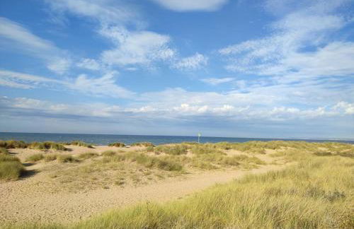 Le Champenois, plage et calme - Photo 15