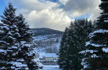 Elsa's Waldnest-Nähe Fichtelsee - Foto 30