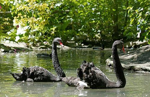 Alojamiento Rural Molino Del Puente - Photo 42