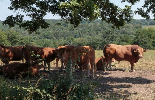 Holiday Home Le Jardin de Timothee by Interhome - Foto 66