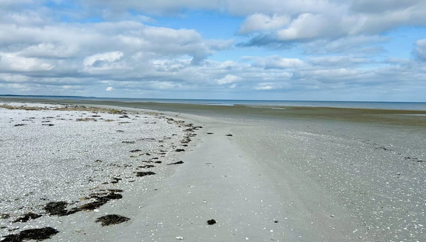 "Swale" - 500m from the sea - Foto 5, Outdoor