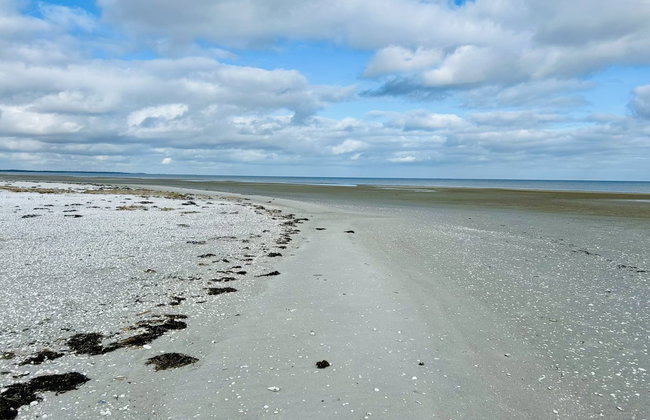 "Swale" - 500m from the sea - Foto 5