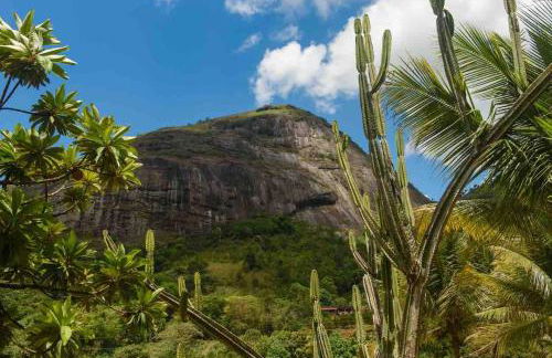 Flat Natureza Hotel Fazenda Pedra do Rodeadouro Bonito PE - Photo 63