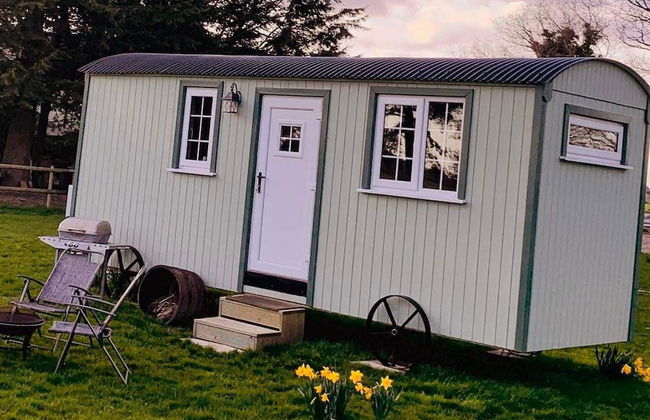 Starry Meadow - Foto 73