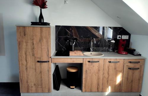 Love Room à Montargis - Photo 16