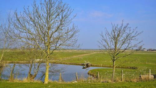 Schäferhof Dircks Fewo 2 - Foto 5