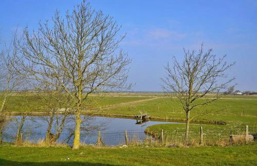 Schäferhof Dircks Fewo 2 - Foto 5