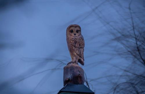 The Treehouse - Sleeps 4 - Foto 8