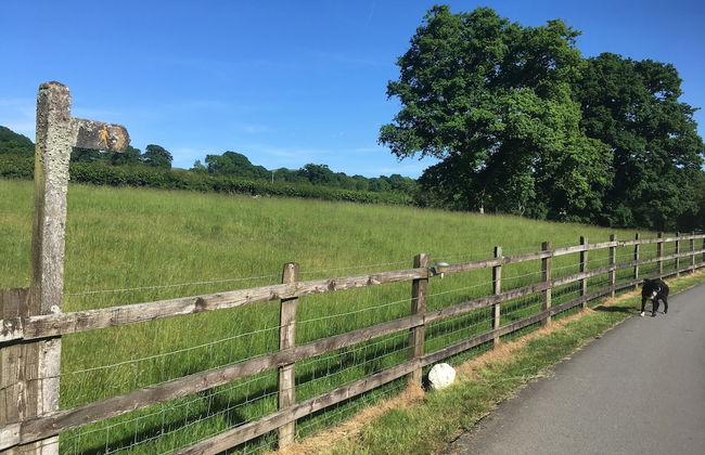 Acorn Court Country House - Foto 36