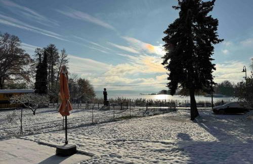 Auszeit am Schwielowsee - Moderne Ferienwohnung direkt am Schwielowsee - Foto 24