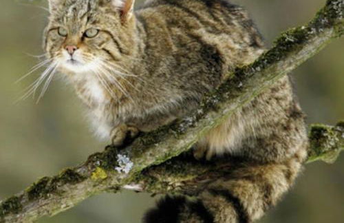 La Casa del Pan de Archivel - Foto 11