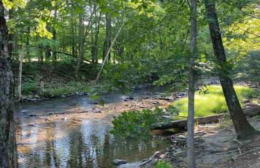 Beautiful Charming Cottage 4 min from Woodstock - Foto 53