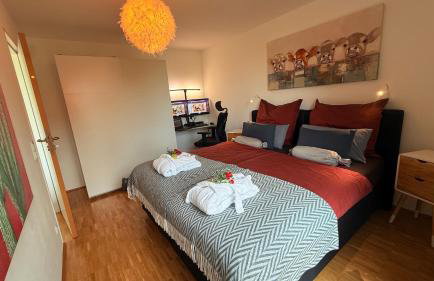 Panorama-Übernachtungen - 4 Sterne DTV - eigene Terrasse mit Garten - Infrarot-Sauna mit Dampfbad - Foto 1