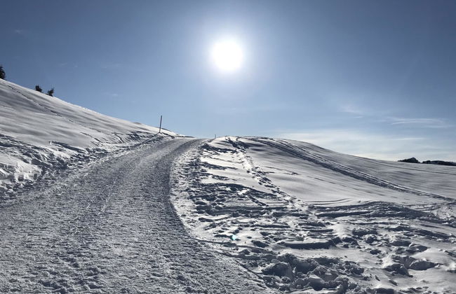 Almenrausch 1. OG Süd-Ost - Foto 5