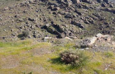 Congidouro - Foto 61