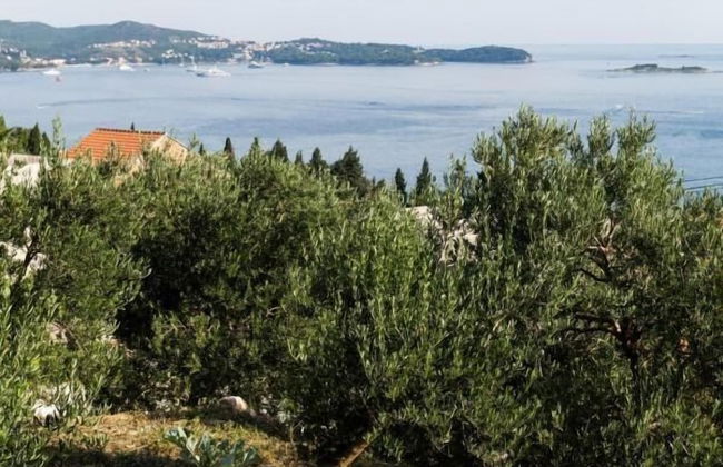 Apartments Olive - Foto 31