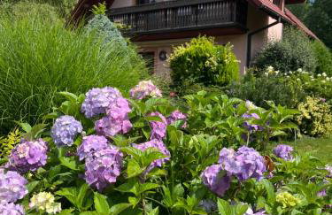 LAWENDOWA PRZYSTAŃ - dom nad rzeką - Brenna, 10 osób, sauna, balia z jacuzzi, ogród, plac zabaw - Foto 1