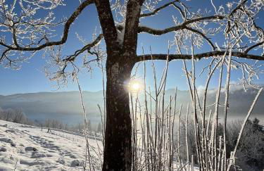 s´Bergnestle - Foto 31