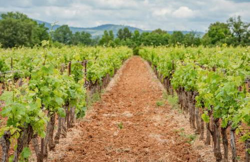 Lou Romarin - Photo 36