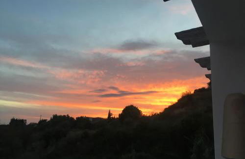 Algarrobo Azul - Photo 26