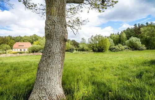 Historic Country House In Secluded Nature - Foto 11