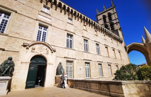 Appartement cosy cœur historique de Montpellier - Foto 15