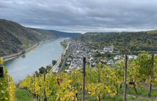 Am Apfelbaum, ein Ferienhaus zwischen Rhein und Mosel - Foto 52