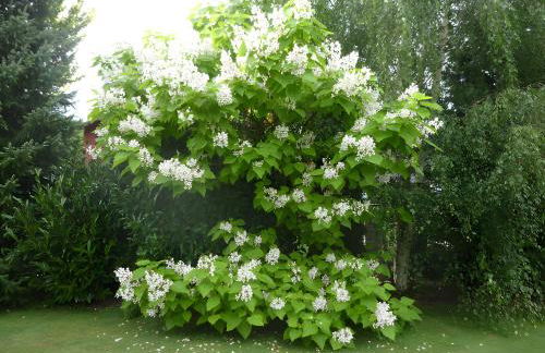 Traumferienwohnung R O B I N S O N - Foto 16