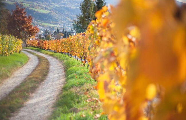 Modern Apartment, Bressanone - Foto 29