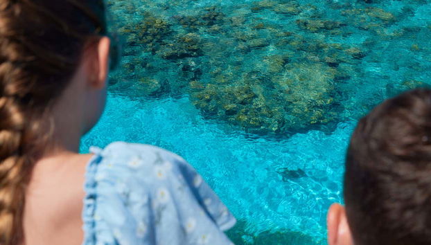 Águas cristalinas em Green Island!