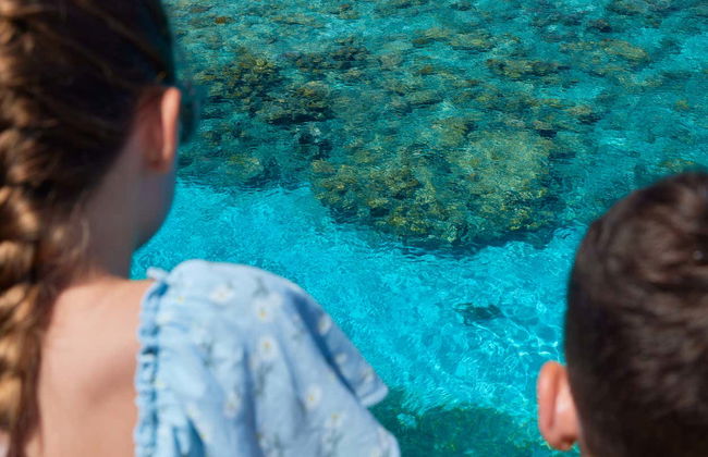 Excursión a Green Island - Foto 4