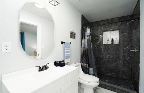 Cacti - Cactyou - Cactus - Foto 20