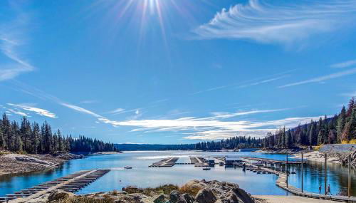 Paw's Cabin - Foto 3