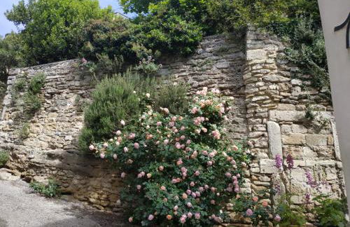 Maison au pied du château, terrasse - Foto 20