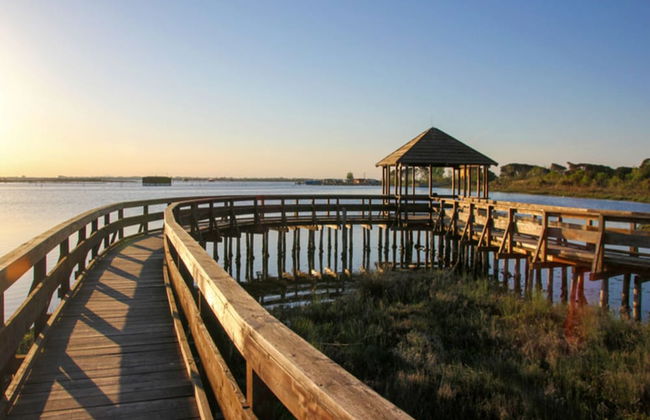 Cozy Flat in a Bright Residence-beahost - Photo 25