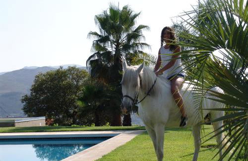 Quinta Santa Marinha - Foto 24