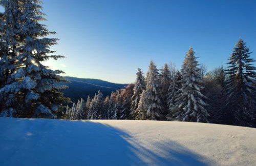 BliżejGorców - Foto 40