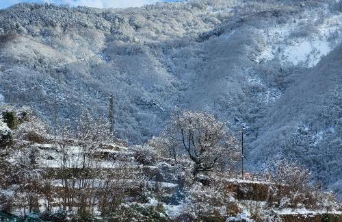 Antiche atmosfere... - Foto 40