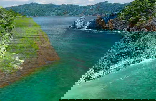 Excursão à Isla Tortuga - Foto 1