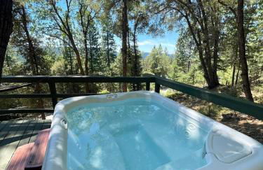 Lake retreat Nevada city cabin - Photo 21