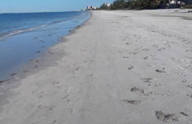 #1 Island Hideaway PICK ME!!! - Foto 34