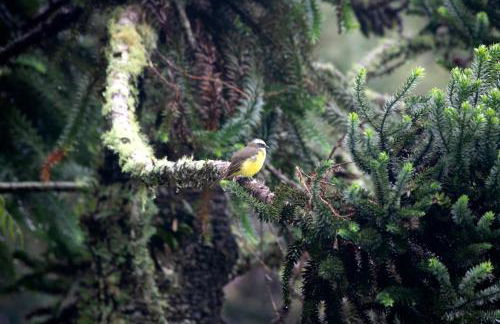Casa do Aconchego - Foto 41