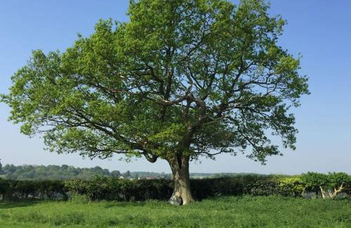 Little studio annexe - Foto 20