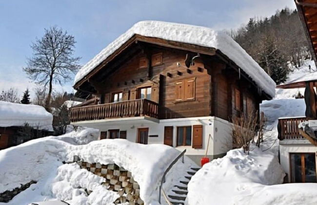 Stachelbeere OG - Foto 1