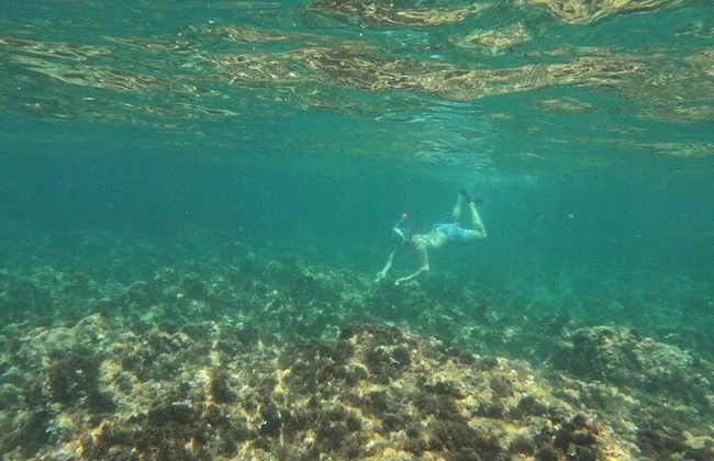 Excursão pela costa de bicicleta elétrica em Alicante com lago de peixes Román e mergulho com snorkel - Foto 11