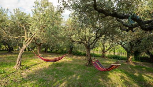 Villa Madamadorè - Foto 3