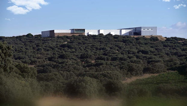 Finca Antigua Winery Visit - Foto 3