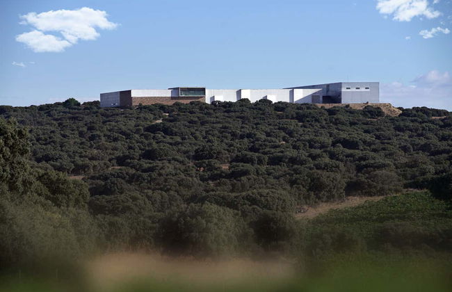 Visite à la cave Finca Antigua - Photo 3